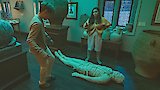 Mummies Alive!