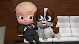 Puppy Love