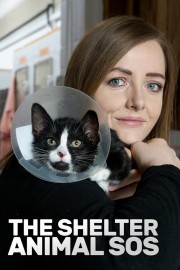 The Shelter: Animal S.O.S.