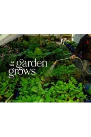 As The Garden Grows