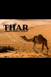 Thar: India's Great Desert