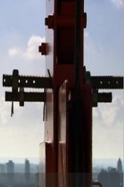 The Solitary Life of Cranes