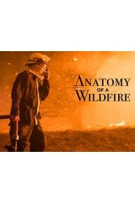 Anatomy Of A Wildfire