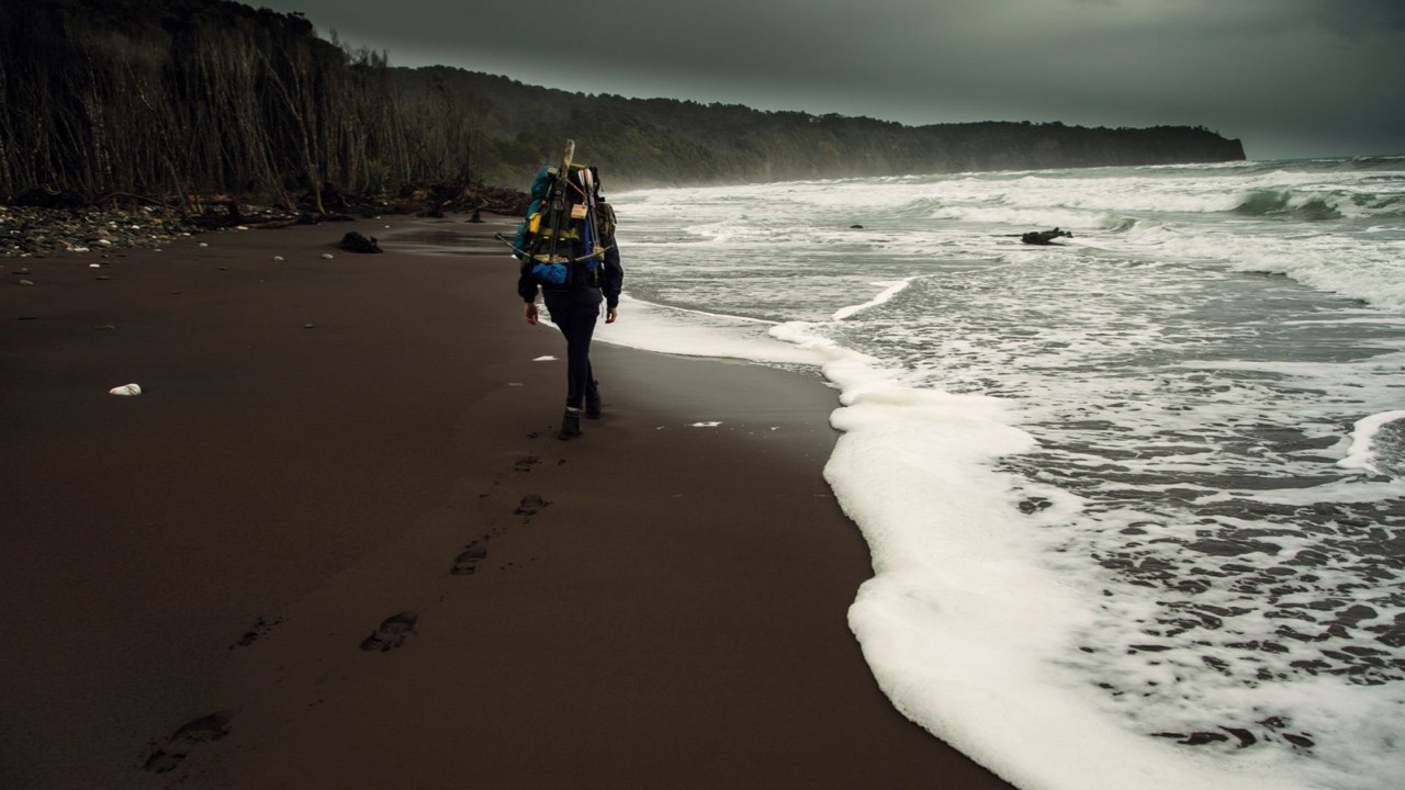 Into the Wild New Zealand