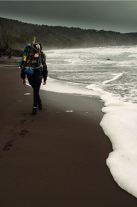 Into the Wild New Zealand