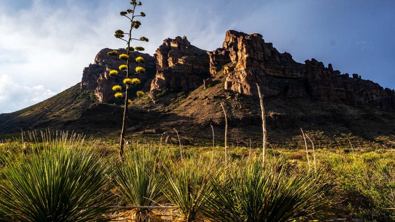 America's National Parks