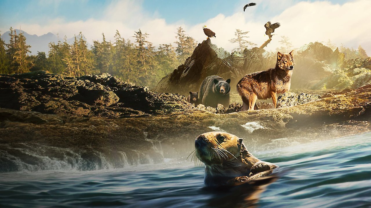 Island of the Sea Wolves