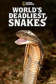 World's Deadliest Snakes