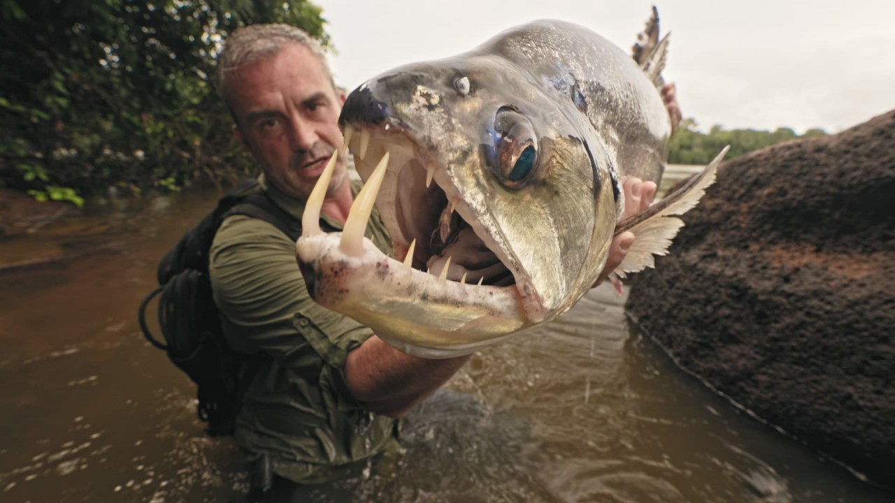 Last of the Giants: Wild Fish