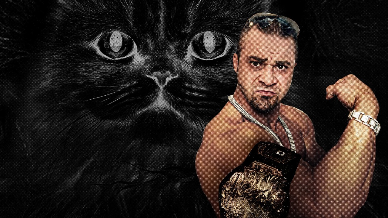 Dangerous Breed: Crime. Cons. Cats