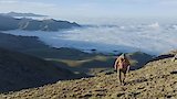 Perilous Ascent