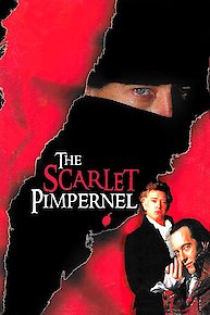 Scarlet Pimpernel