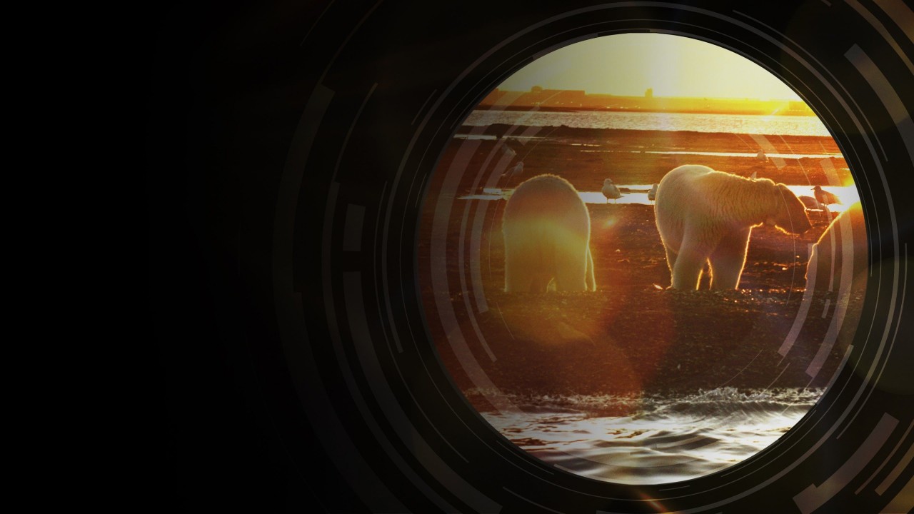 National Geographic Investigates: Battle for Alaska's Oil