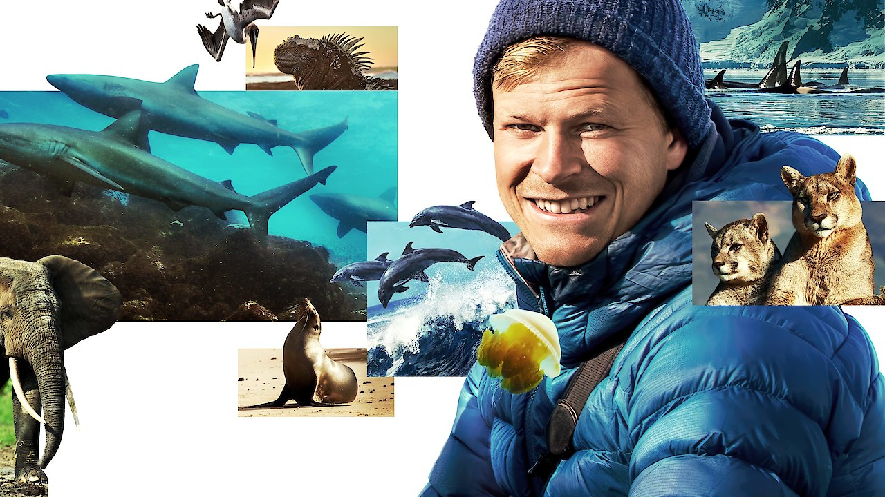 Animals Up Close with Bertie Gregory