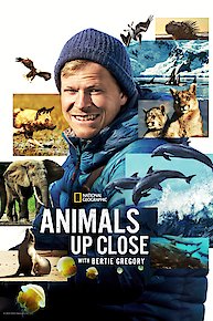 Animals Up Close with Bertie Gregory