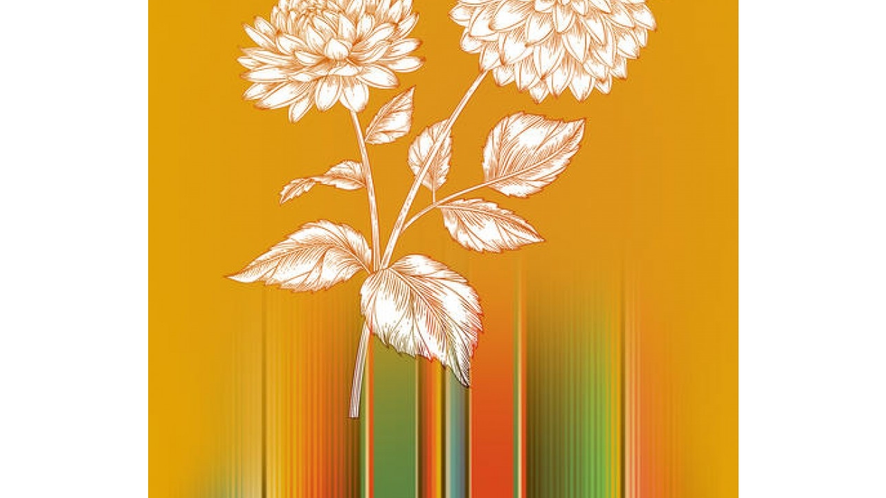 Hispanic Heritage Month: Entre Nos