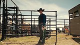 Saddle Up