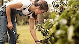 Good Soil