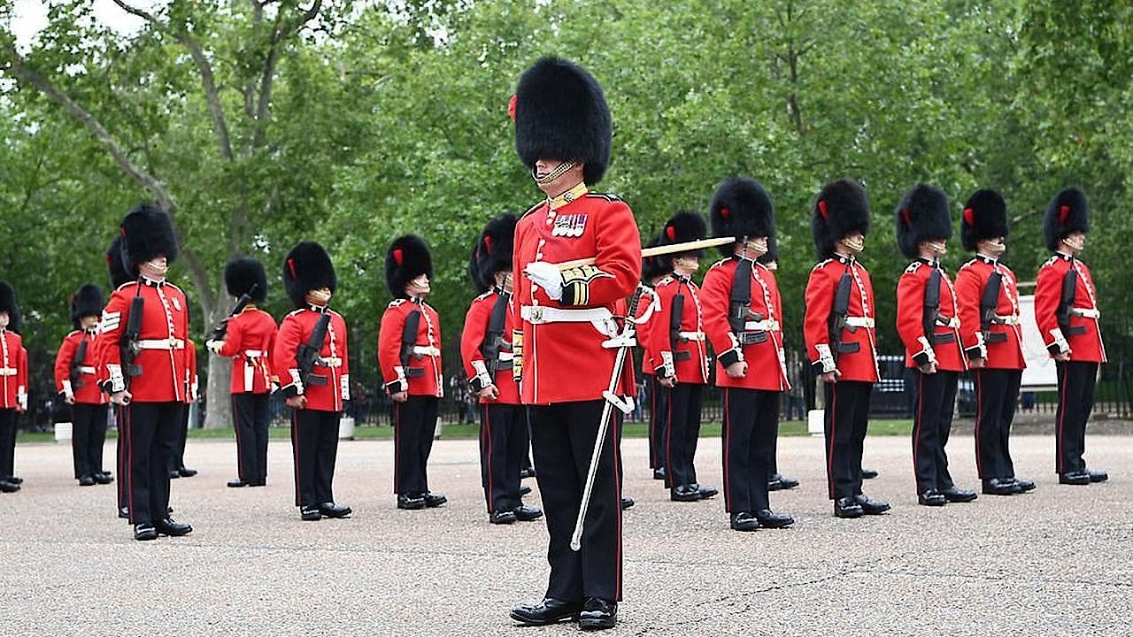 The Queen's Guards: A Year in Service