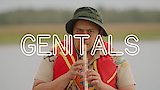 The Evolutionary Dance of Genitals