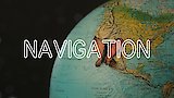How Animals Navigate their Worlds