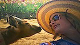 Have Goat Will Travel
