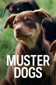 Muster Dogs