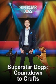 Superstar Dogs