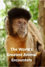 World's Greatest: Animal Encounters
