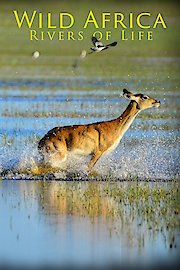 Wild Africa Rivers of Life