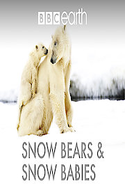 Snow Bears & Snow Babies