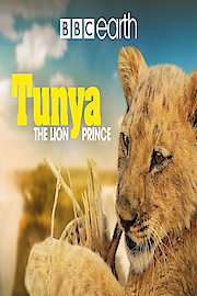 Tunya the Lion Prince