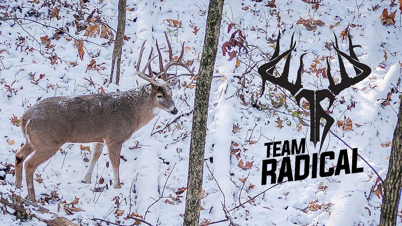Team Radical Deer Hunting