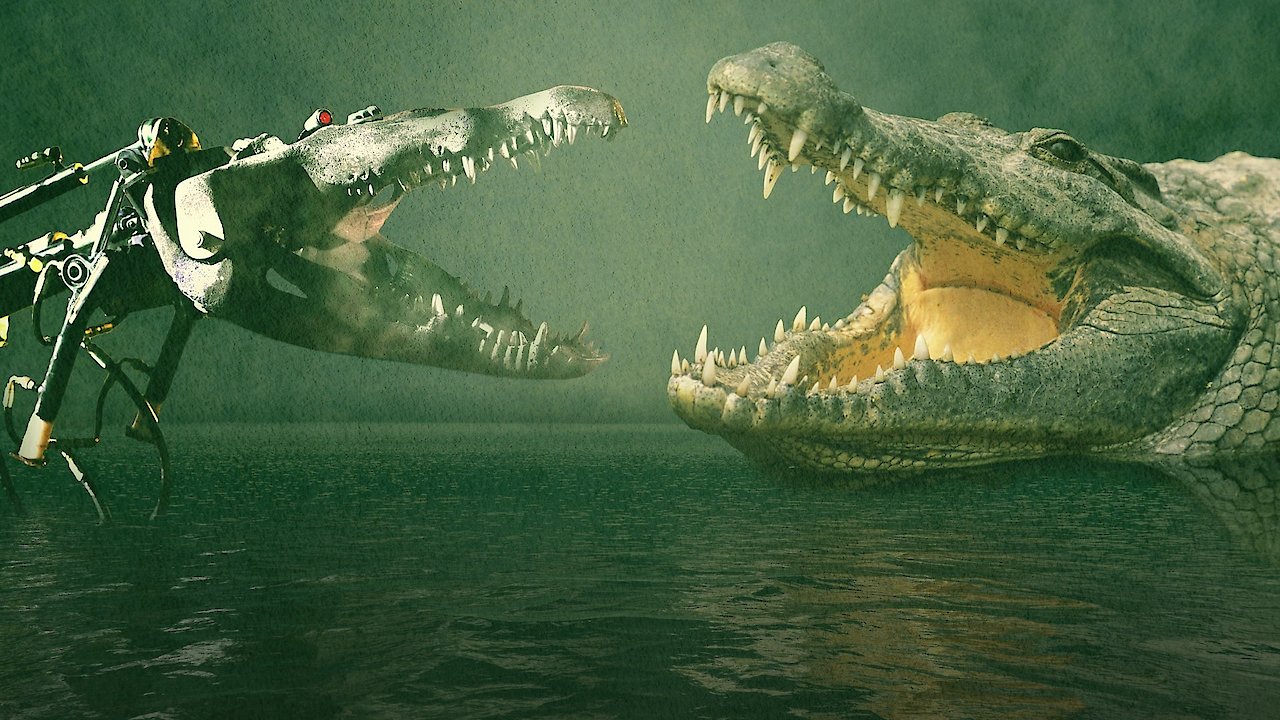 Ultimate Animal Showdown