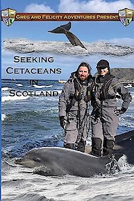 Seeking Cetaceans In Scotland
