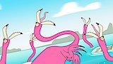 Needs, Rights and Flamingo Fights