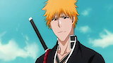 Bleach 366