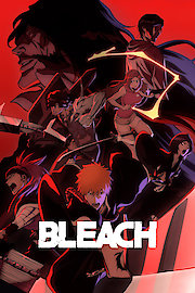 Bleach