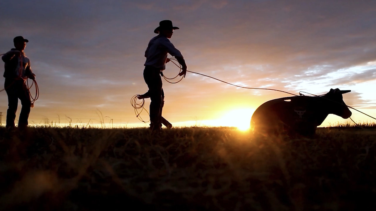 Art Of A Cowboy The Series