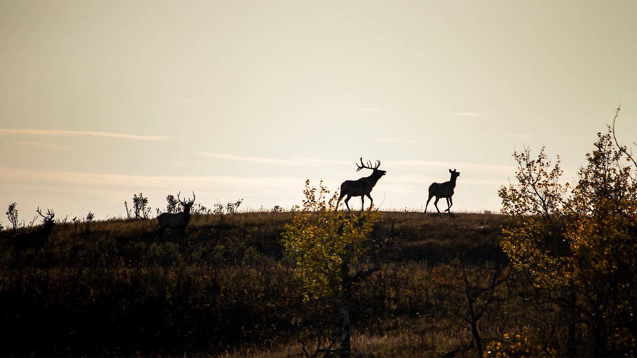 Rob Dunham's Magnum Reloaded