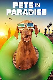 Pets in Paradise