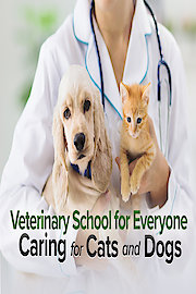 Veterinary School for Everyone: Caring for Cats and Dogs