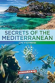 Secrets of the Mediterranean