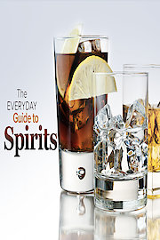 The Everyday Guide to Spirits and Cocktails: Tastes and Traditions