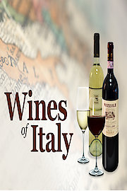 The Everyday Guide to Wines of Italy
