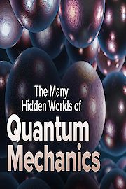 The Many Hidden Worlds of Quantum Mechanics