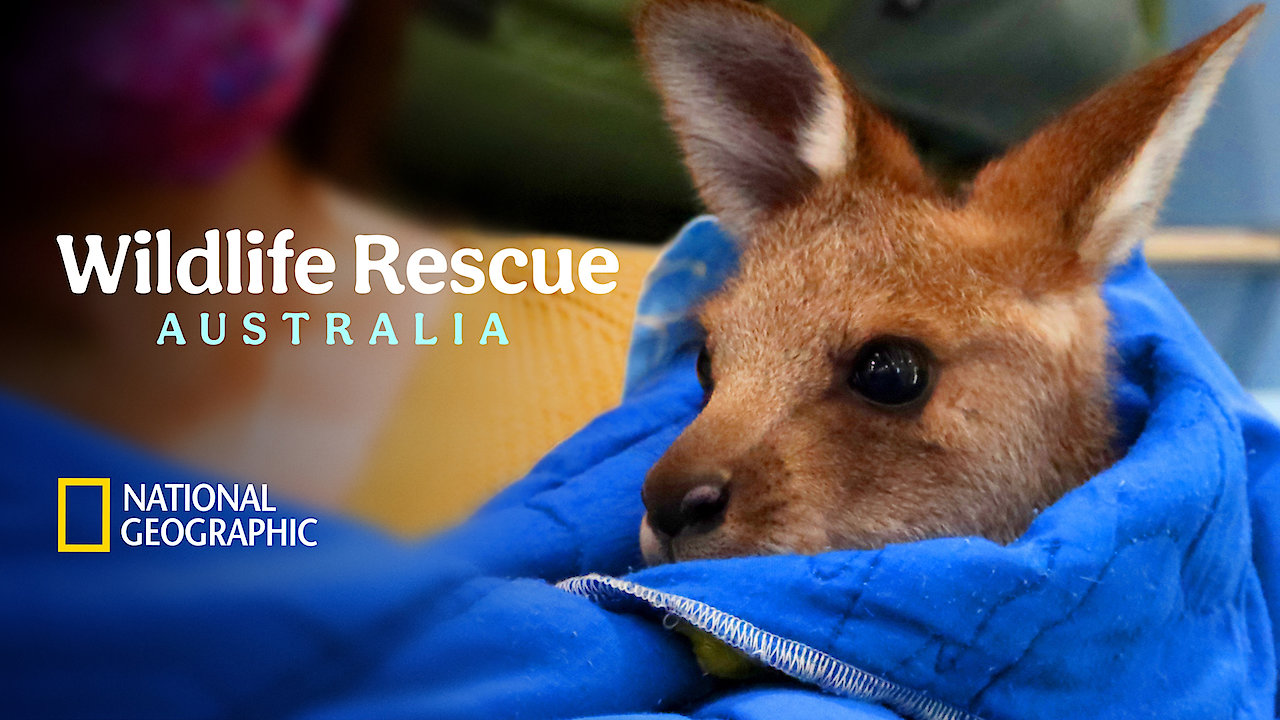 Wildlife Rescue Australia