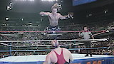 SummerSlam in the 90s