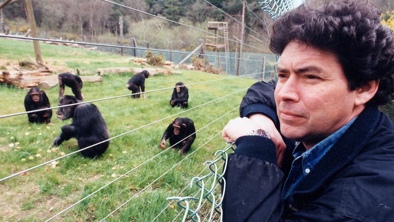 Monkey World: Primate Paradise