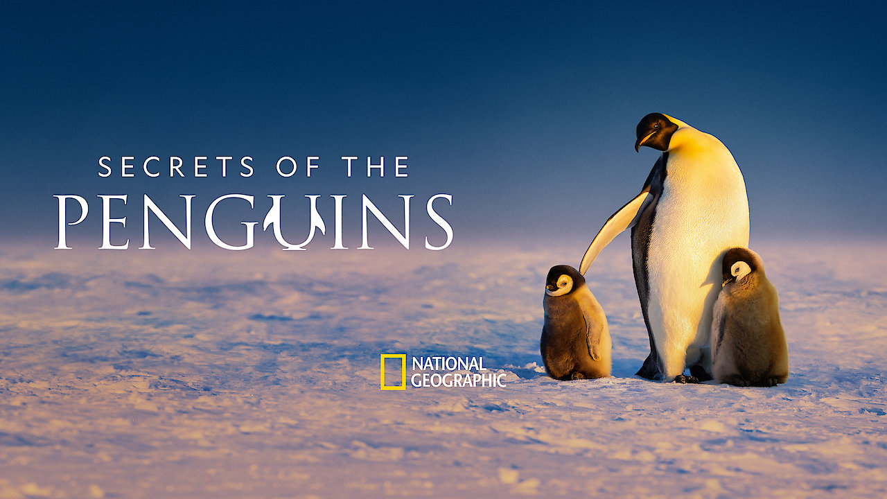 Secrets Of The Penguins